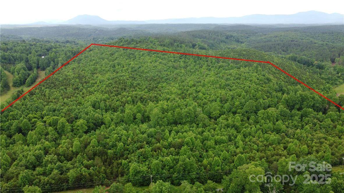 0 Maple Creek Road - Photo 1