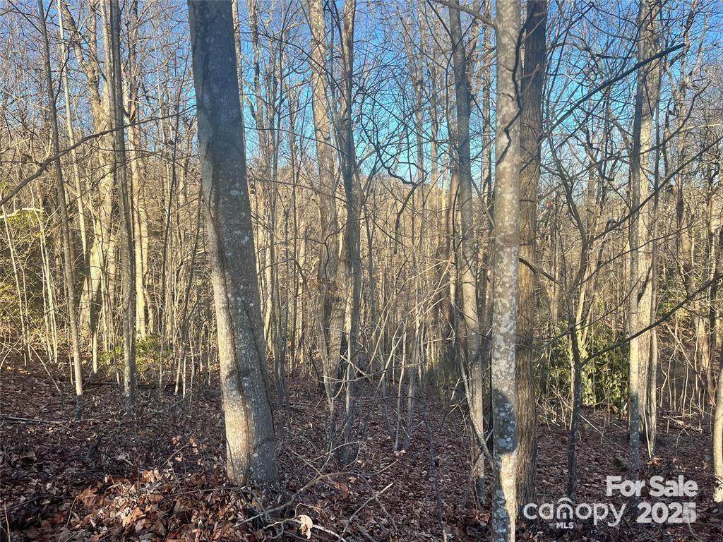 129 Pinnacle Peak Lane - Photo 1