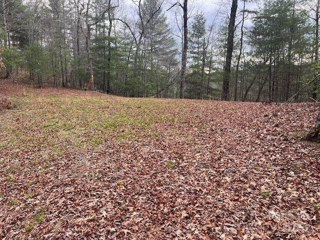 2035 Lower Tuskeegee Road - Photo 1