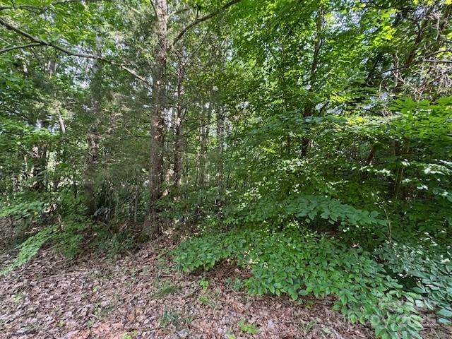 00 Hilltop Drive - Photo 1