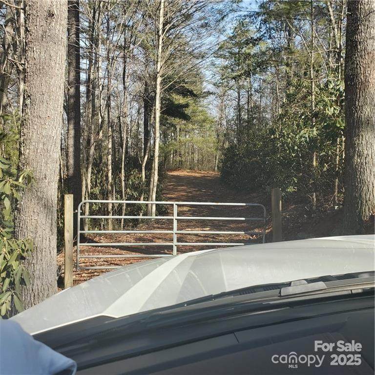 7902 Cat Trail - Photo 1