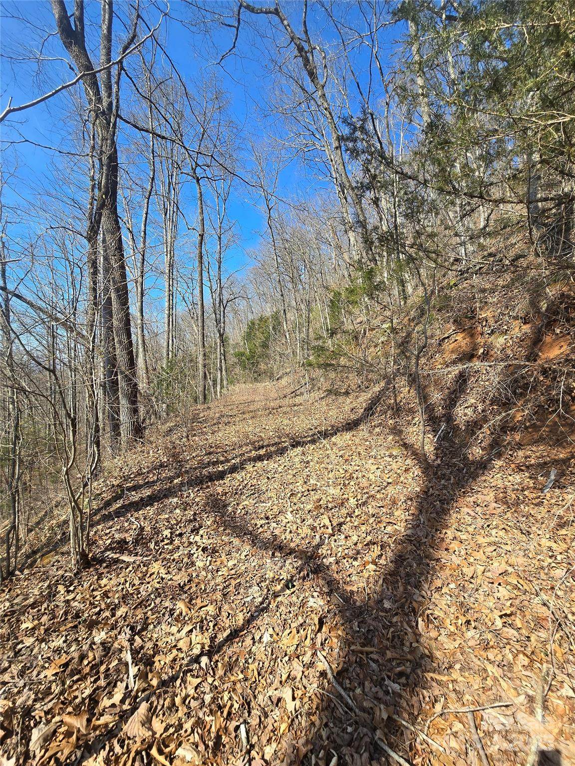 30 Black Mountain Road - Photo 1