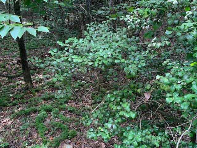 7.67 AC. Holbert Cove Road - Photo 1