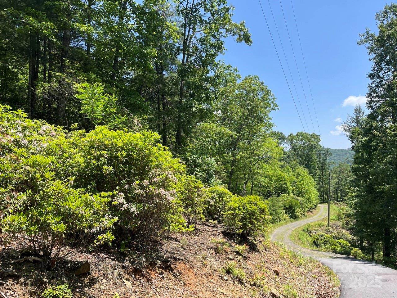 0000 Humpback Mountain Road - Photo 1