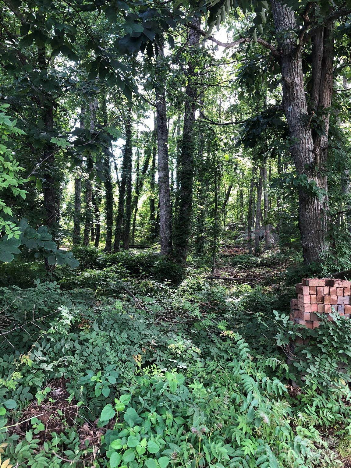 Lot 6-7 Ridgeline Drive - Photo 1
