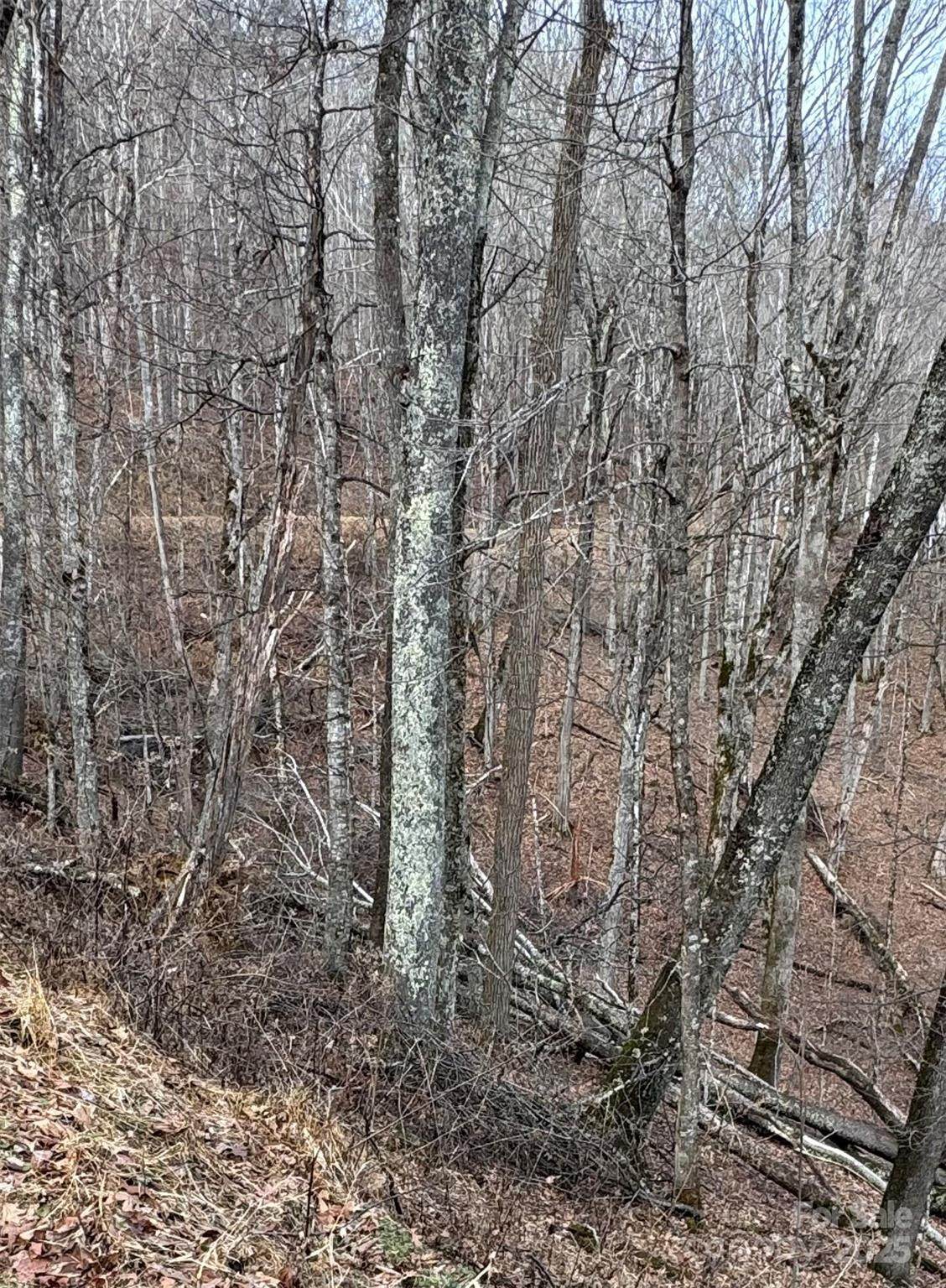 00 Spring Brook Drive - Photo 1