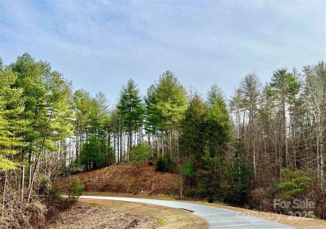 Lot 77, 1712 Round Mountain Parkway - Photo 1
