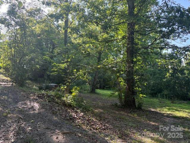 10600 Davidson Highway - Photo 1