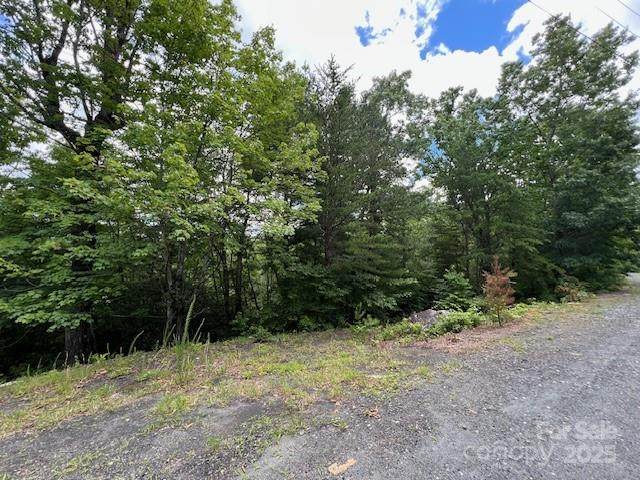 Lot 35A Oakwood Drive - Photo 1