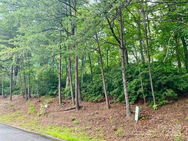 0 Quail Ridge Road - Photo 1