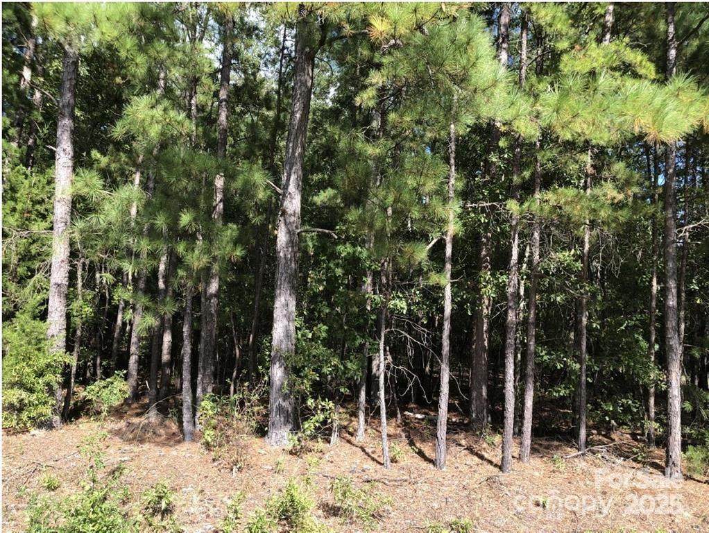3826 Stoneboro Road - Photo 1