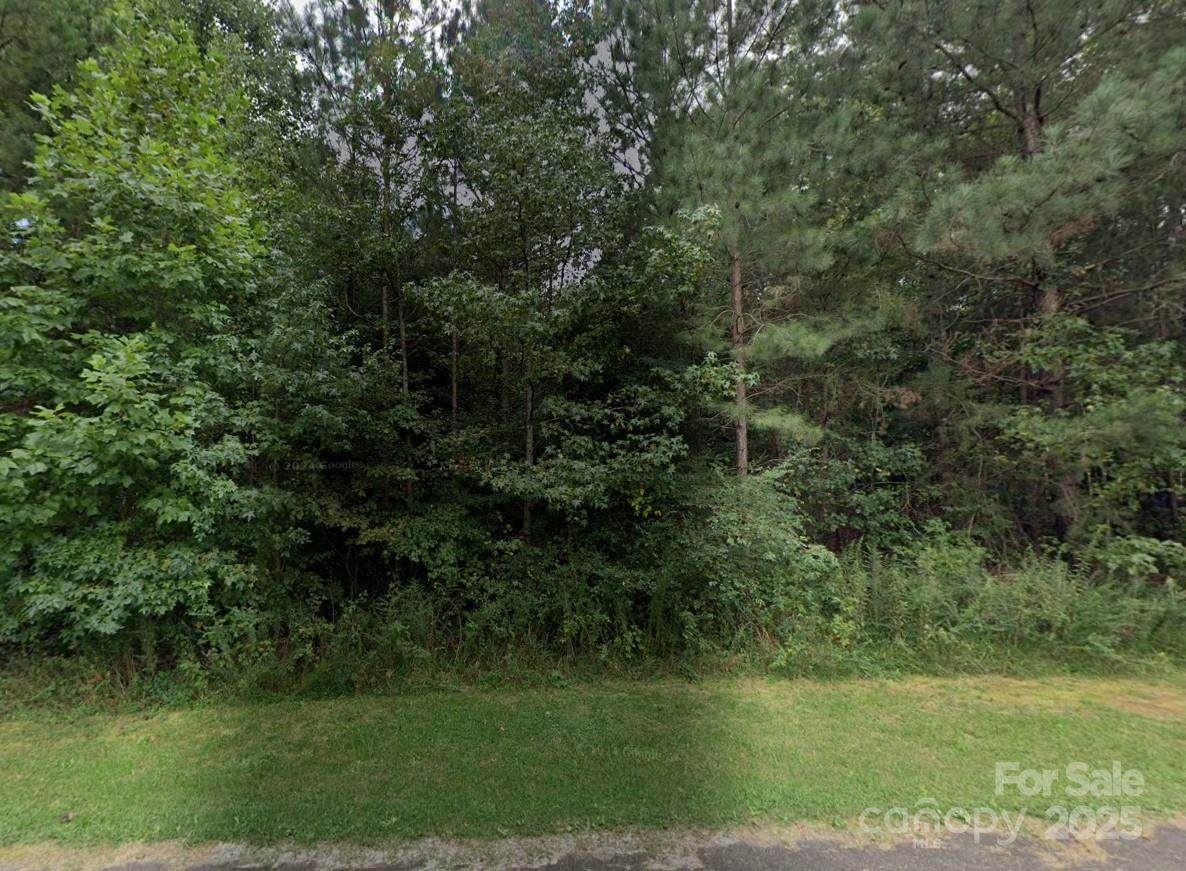 00 #24 Majestic Pine Drive - Photo 1