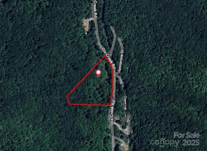 TBD Dix Creek Road - Photo 1