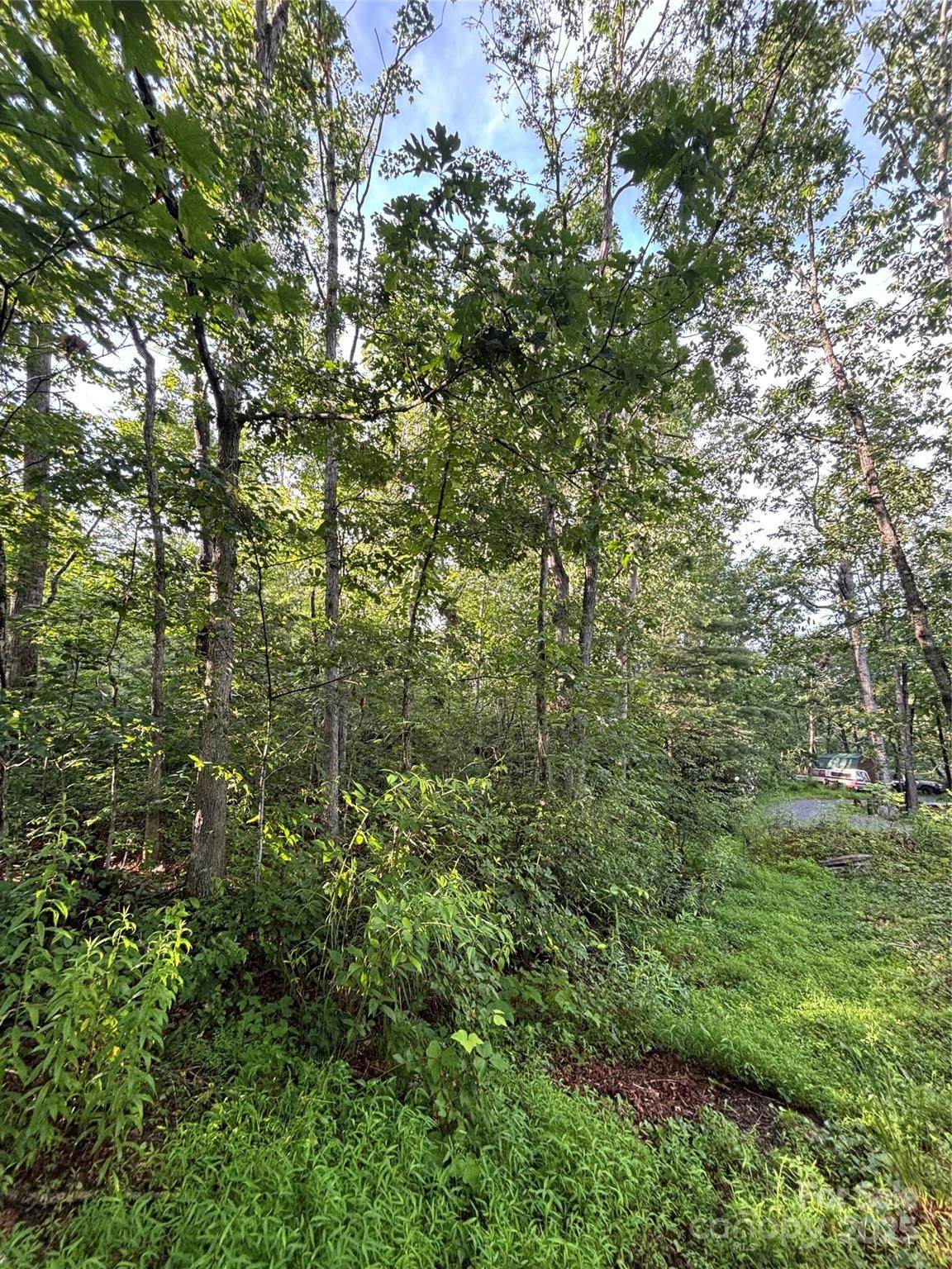 9999 Oak Ridge Road - Photo 1