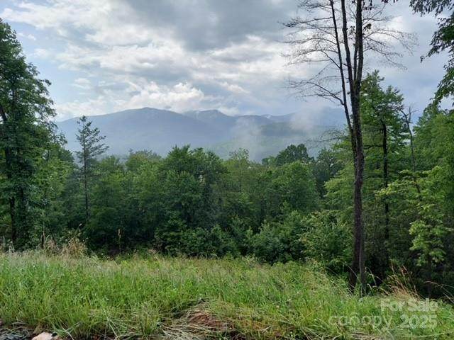 LOT 19 Summit View Parkway - Photo 1
