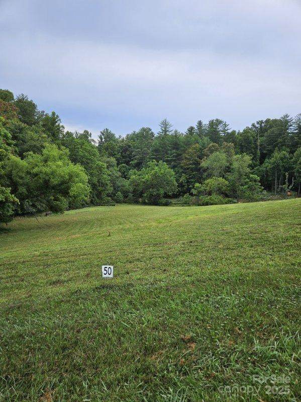 9999 Settlers Trail - Photo 1