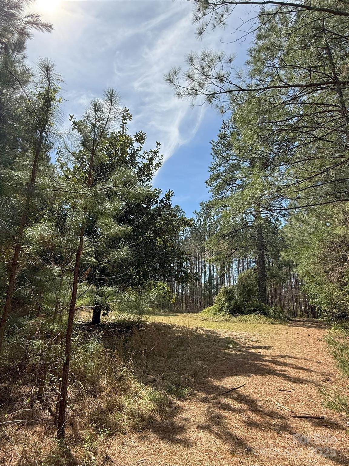 656 Skyline Drive - Photo 1