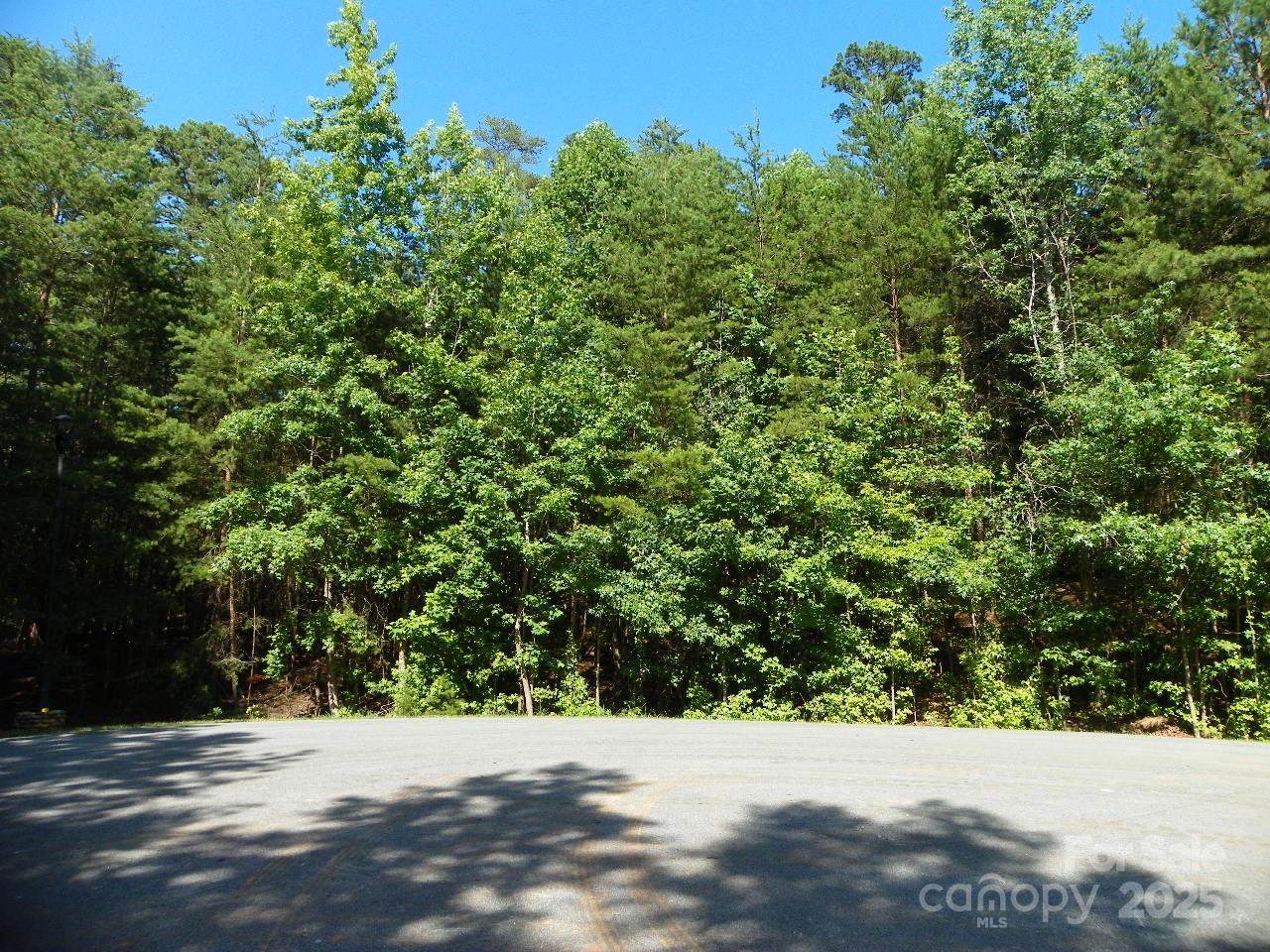 210 Kingfisher Court - Photo 1