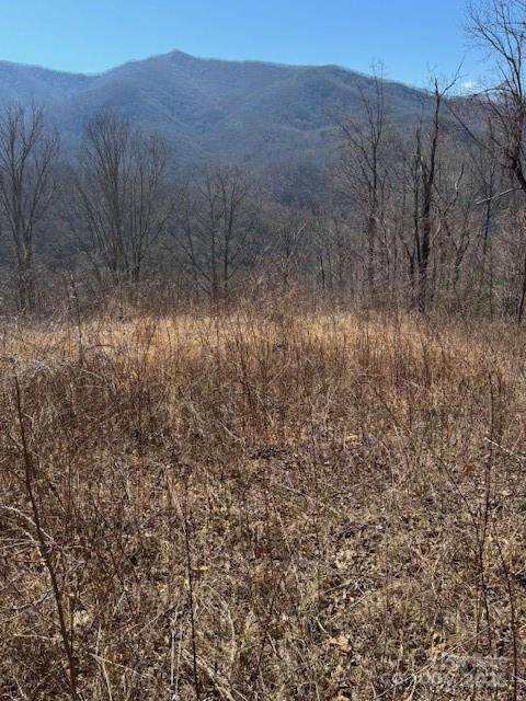TBD Rickman Ridge - Photo 1