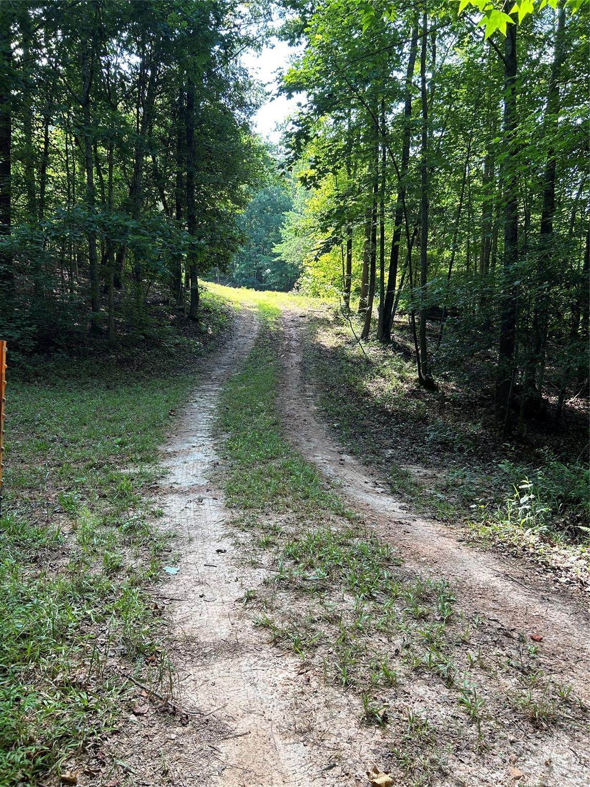 430 Moss Trail - Photo 1