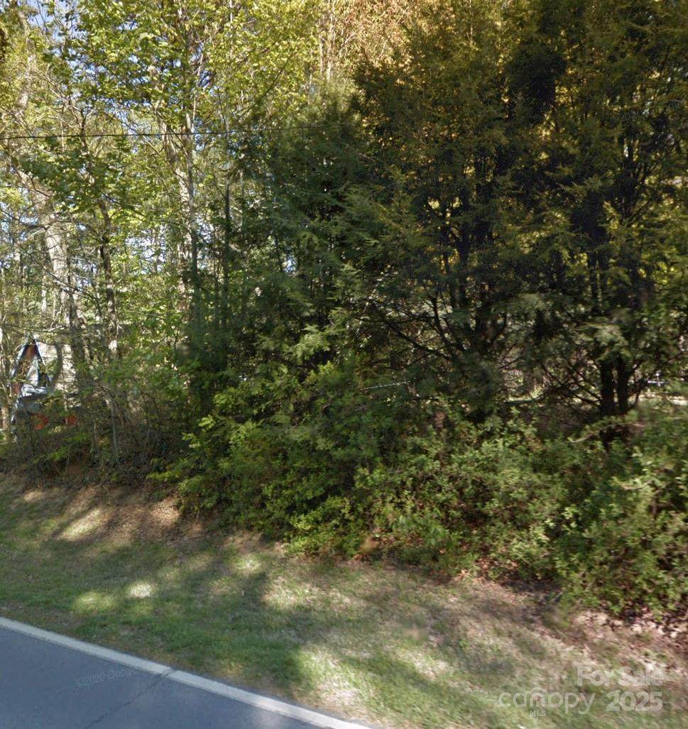 Lot 33 Cedar Lane - Photo 1