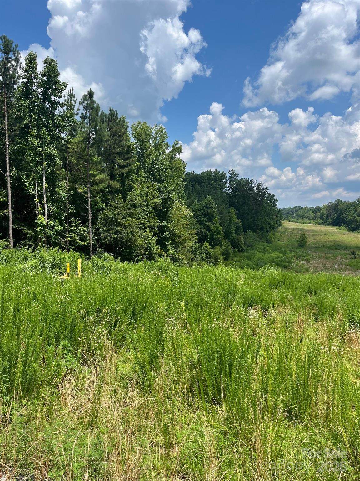 524 Ingleside Farm Road - Photo 1
