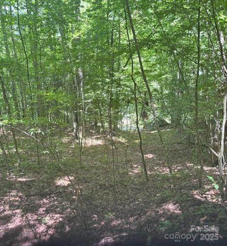 00 Macs Mountain Retreat Lane - Photo 1