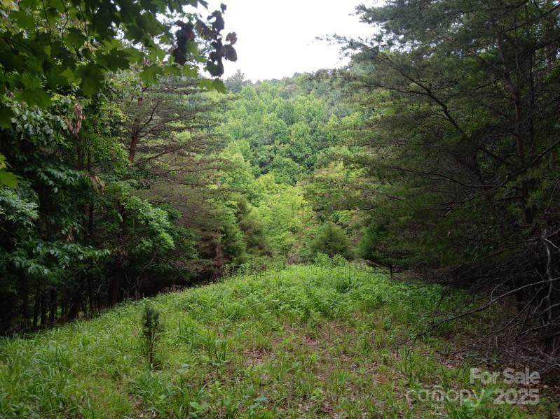 2255 Nc Hwy 268 Highway - Photo 1