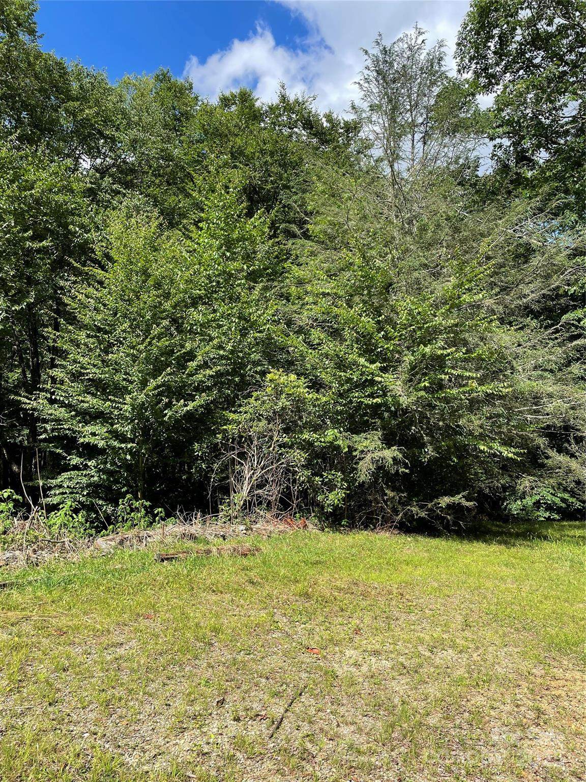 686 Mashstomp Road - Photo 1