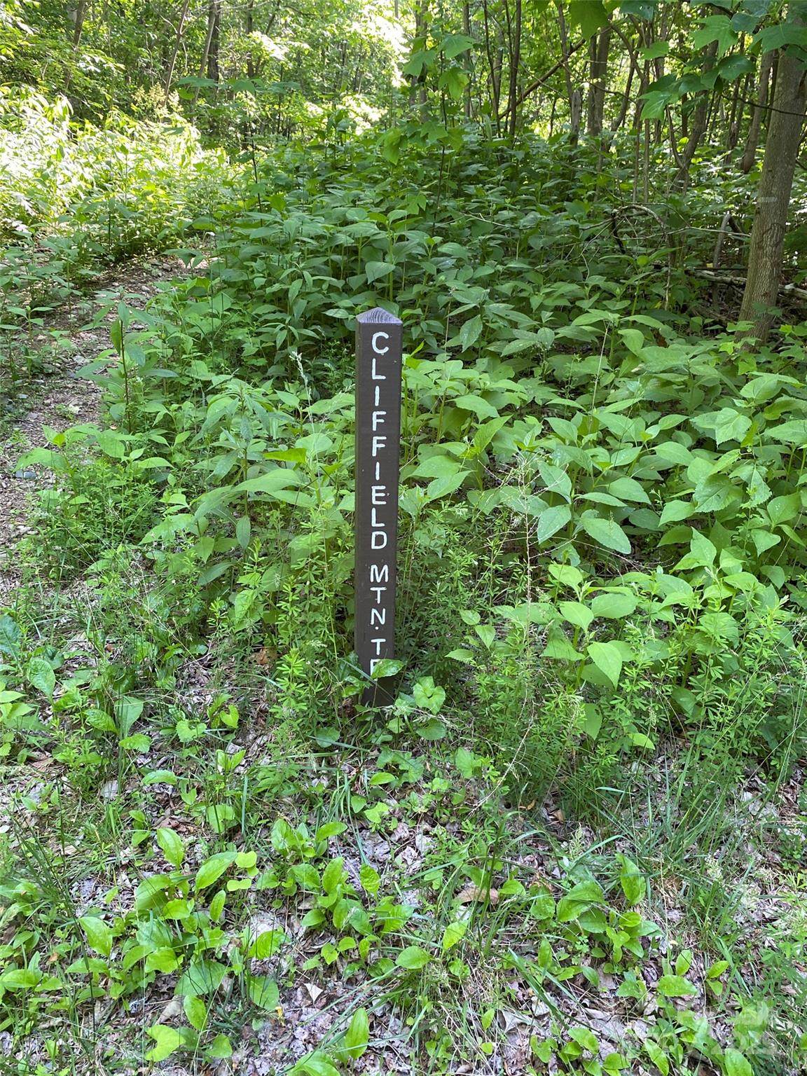 0 Cherry Hill - Photo 1