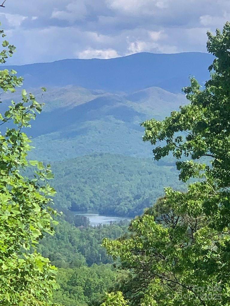 377 Freeman Overlook - Photo 1