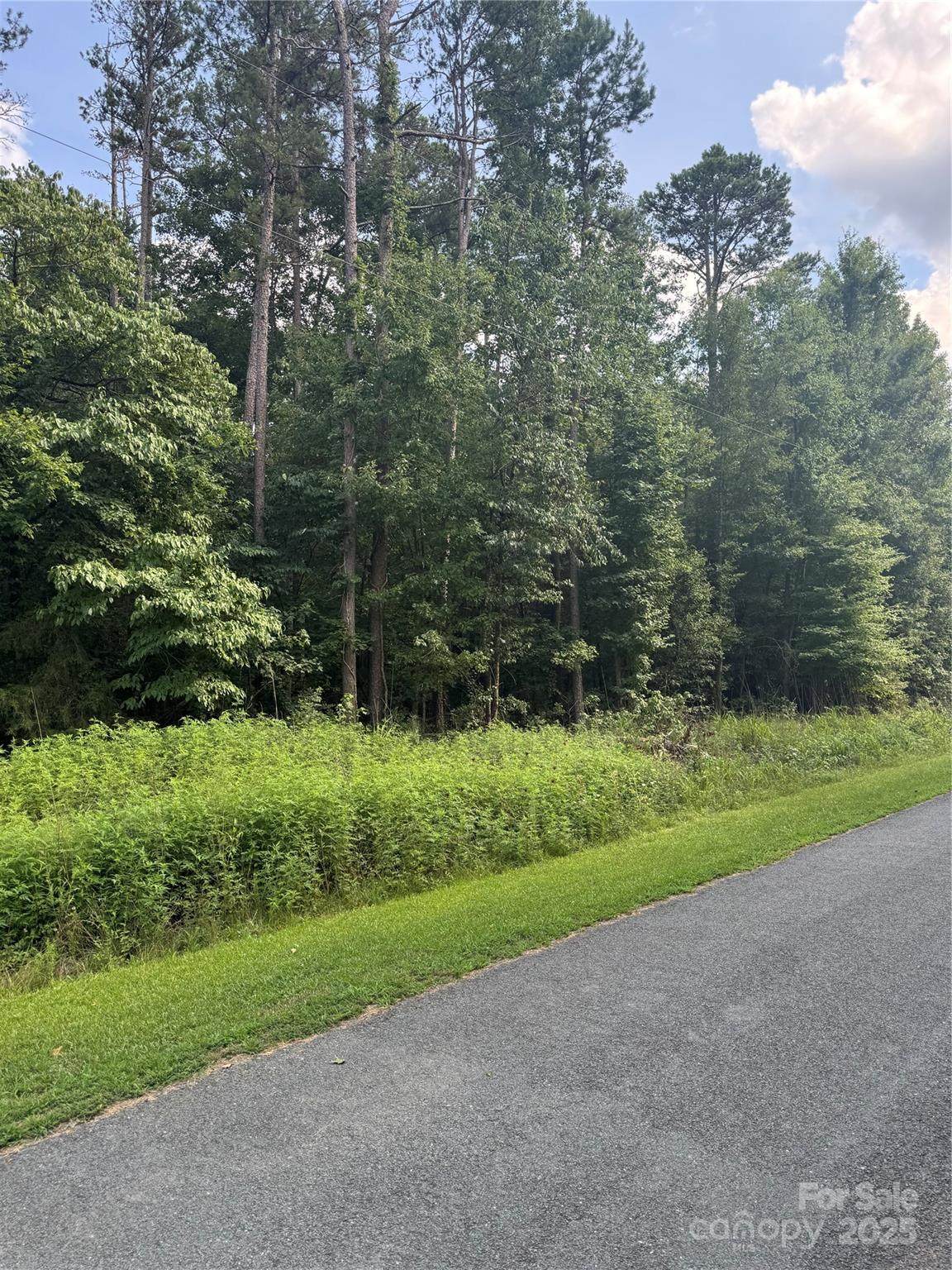 00 Raymond Helms Road - Photo 1