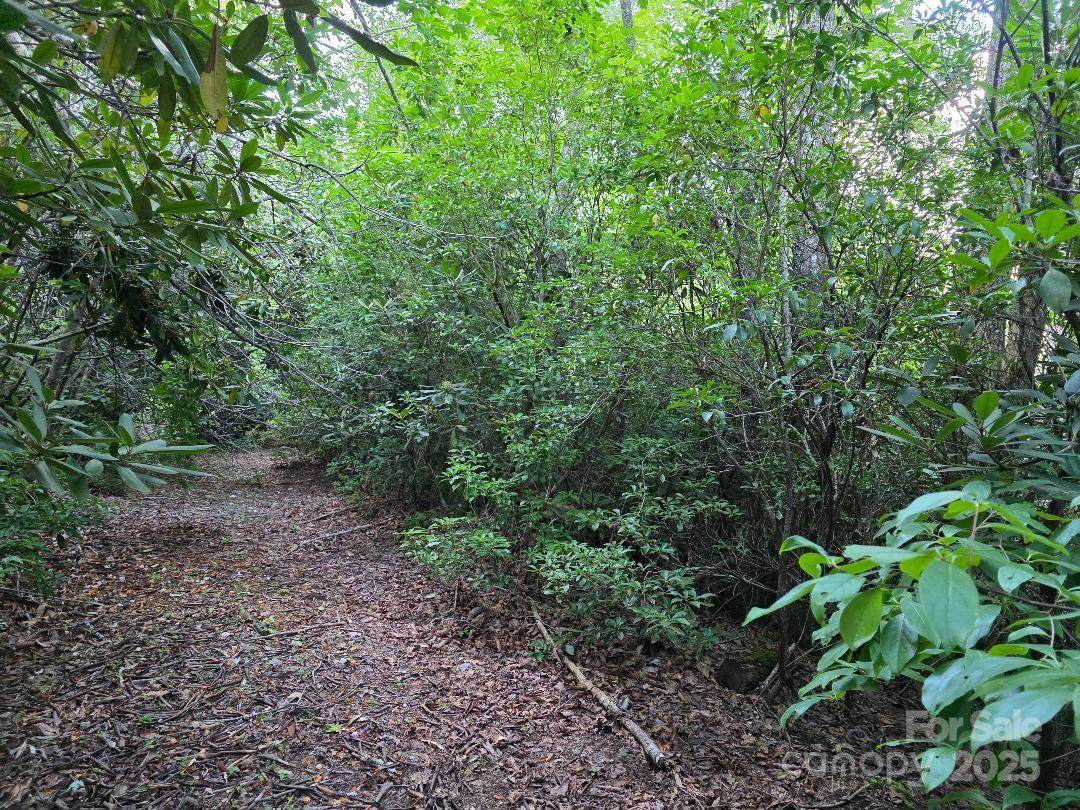 LOT 2 Pine Ridge Road - Photo 1