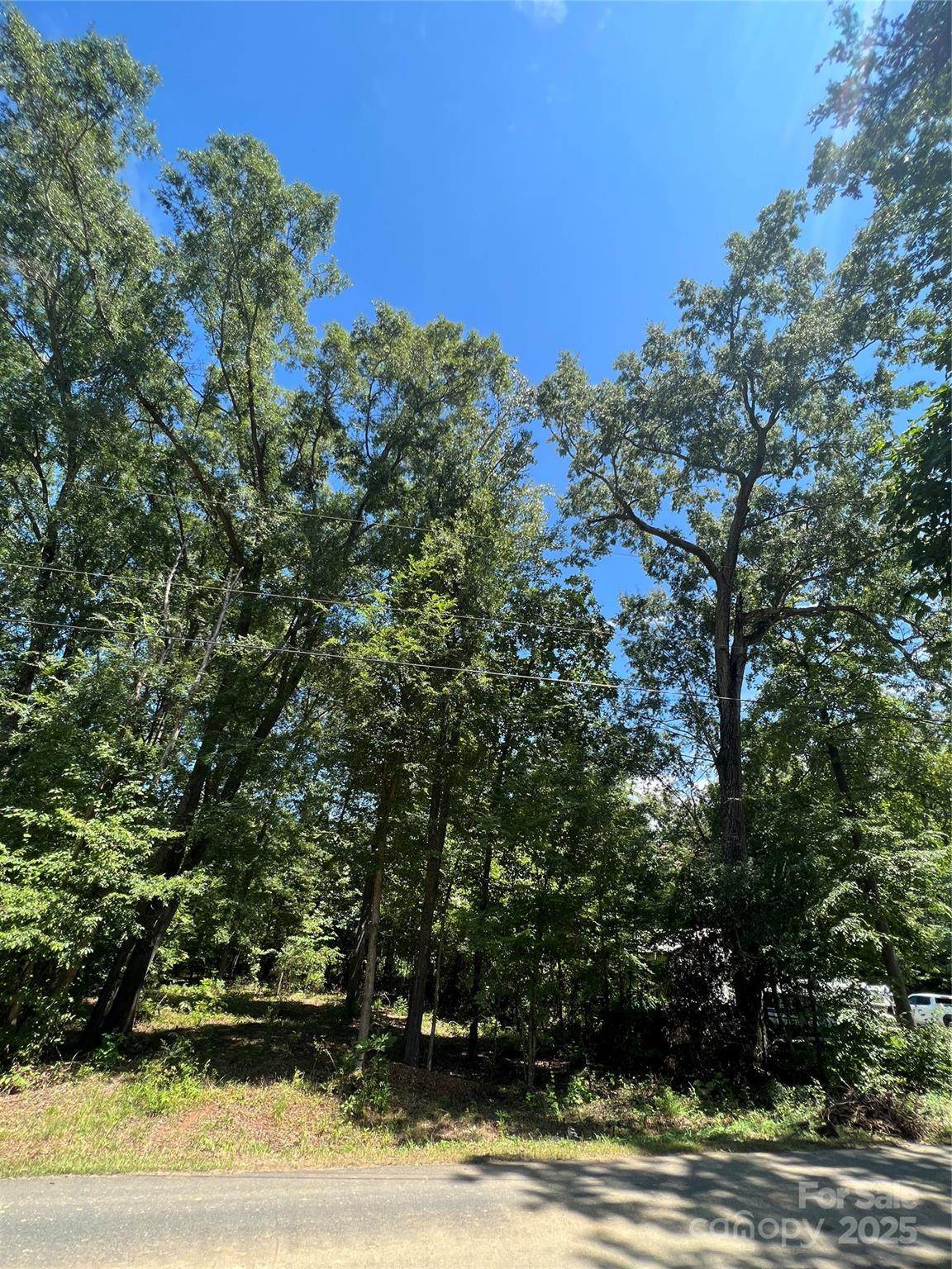 0 Playground Lane - Photo 1