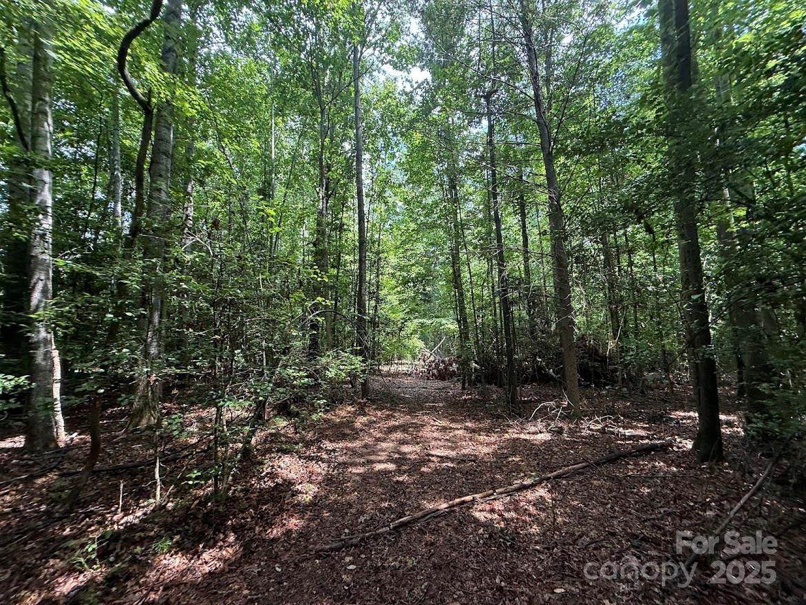 00 Hundred Acres Lane - Photo 1