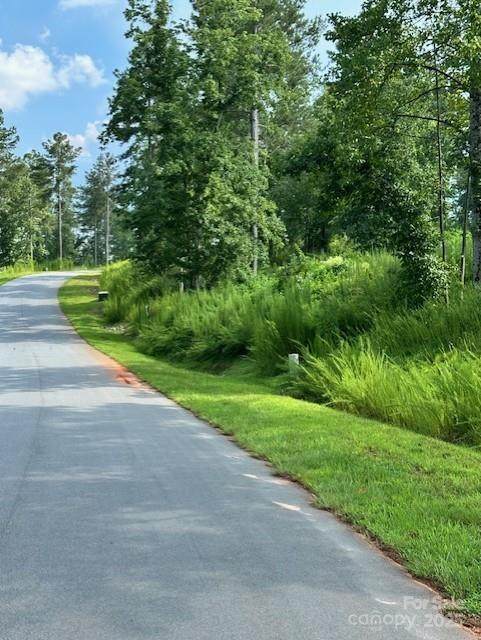 1905 Jumping Run - Photo 1