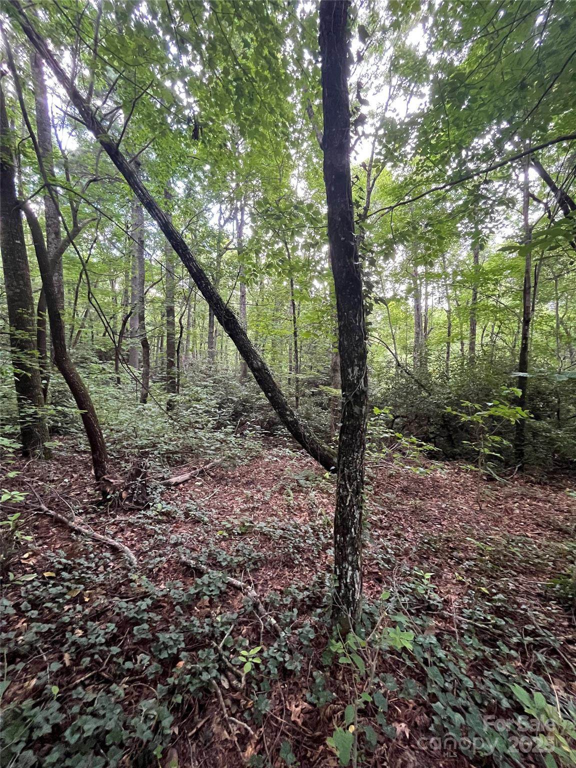 000 Greenleaf Drive - Photo 1