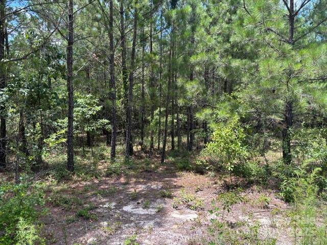 0000 Feather Run Road - Photo 1