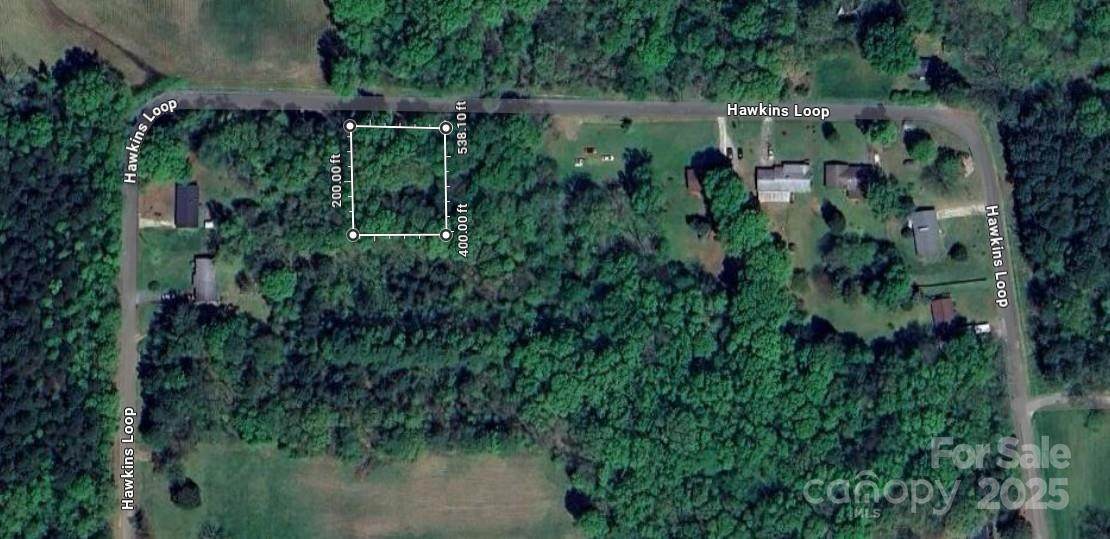 0 Hawkins Loop - Photo 1