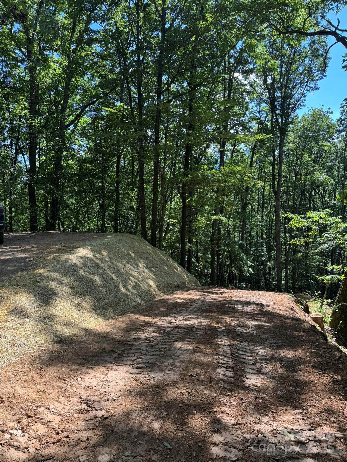 97 Hosta Drive - Photo 1