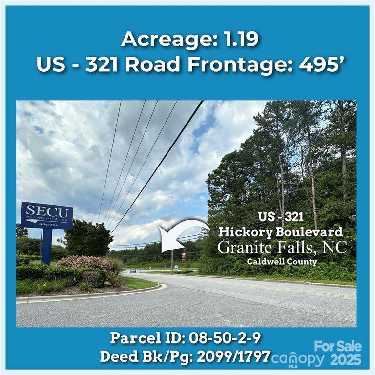 0 Highway 321 Highway - Photo 1