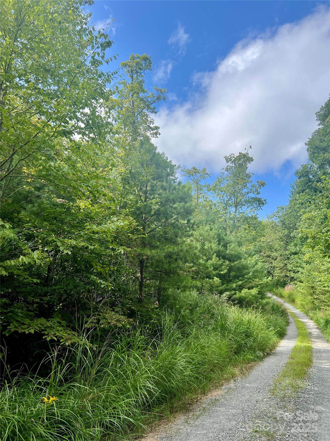 F2 Emma Bri Lane - Photo 1