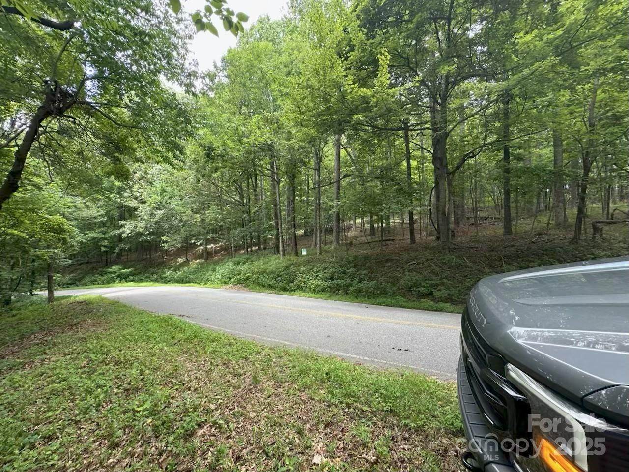 0000 Skyuka Mountain Road - Photo 1