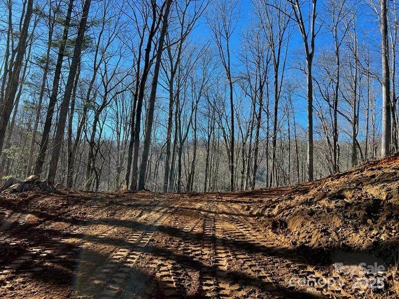 999999 Pointe Drive - Photo 1