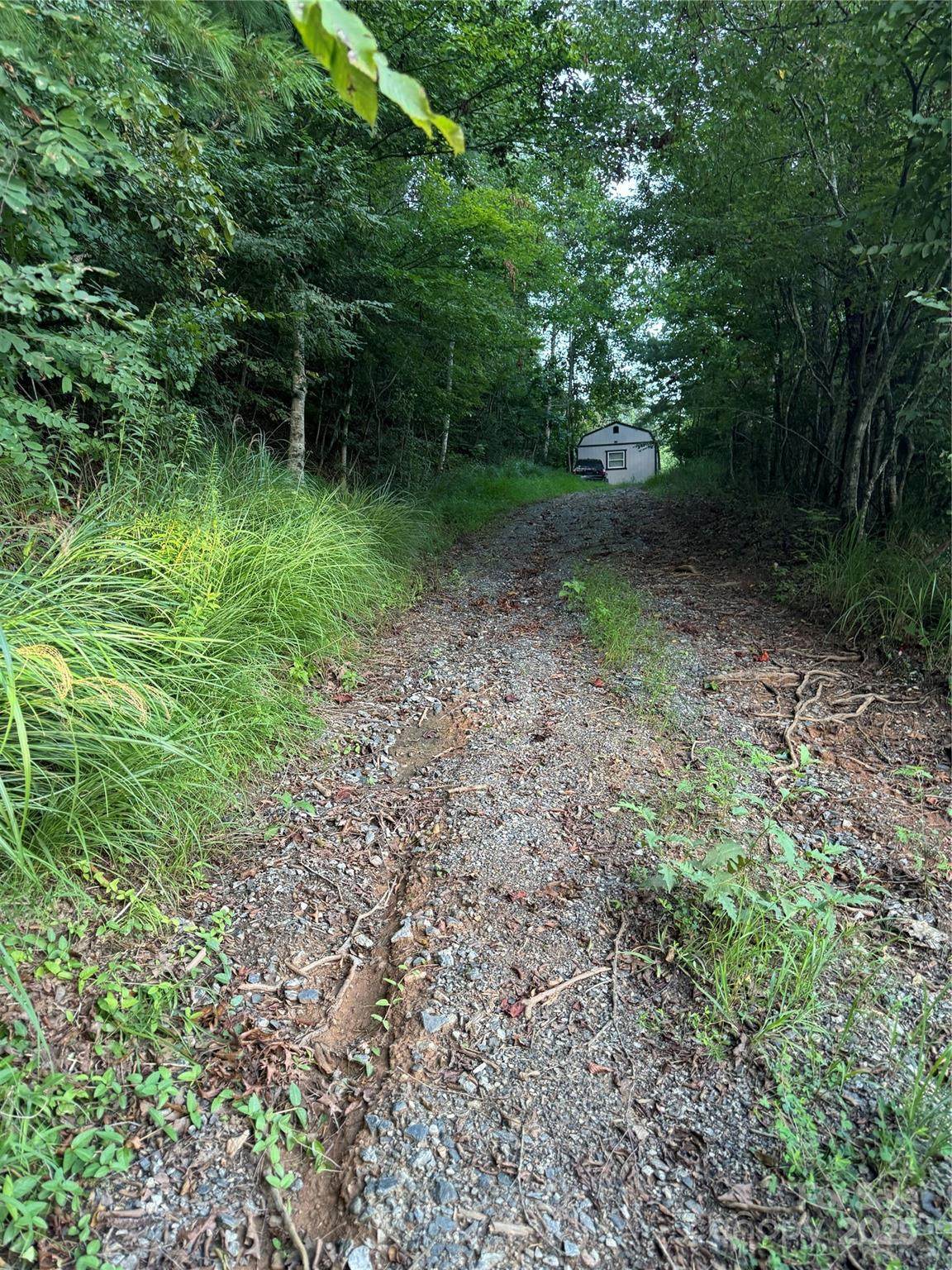 TBD Grapevine Road - Photo 1