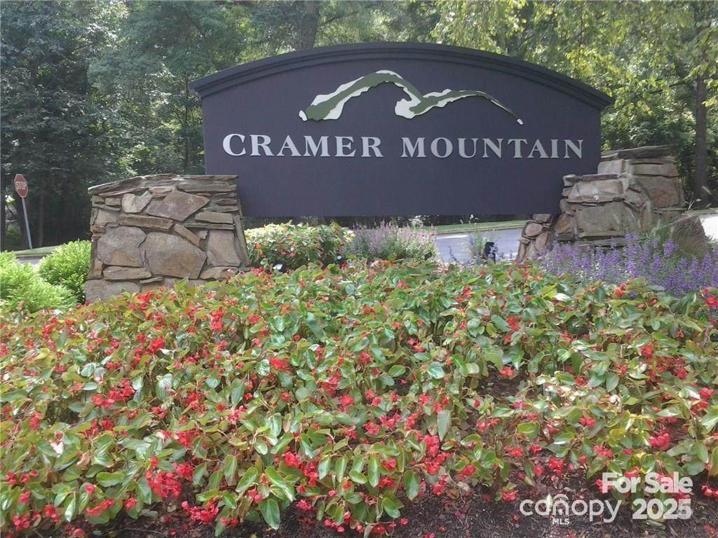 223 Mays Mills Drive - Photo 1