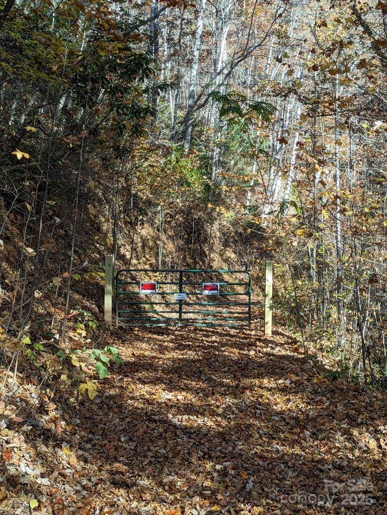 00 Sutton Branch Road - Photo 1