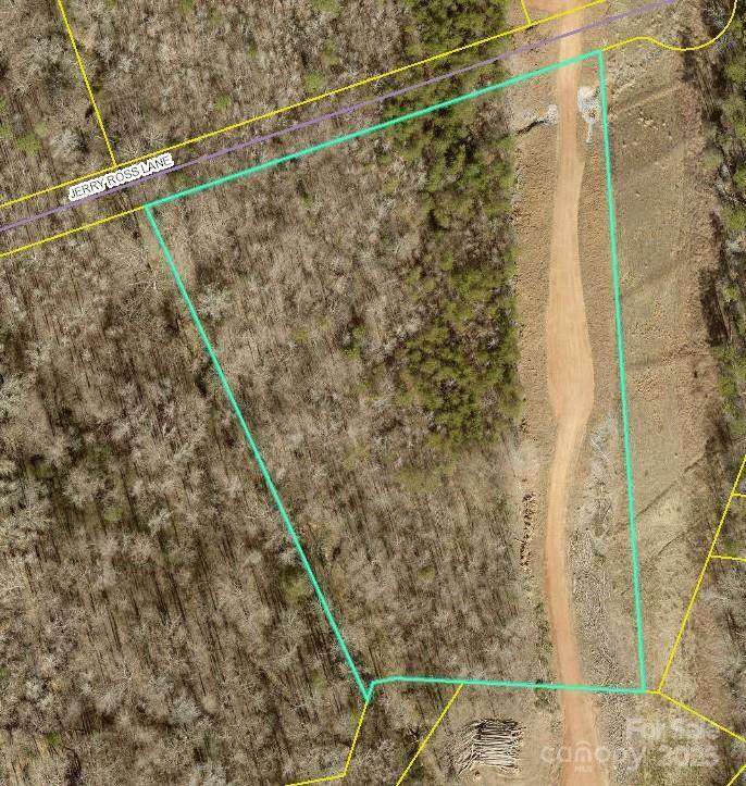 Lot 6 Jerry Ross Lane - Photo 1