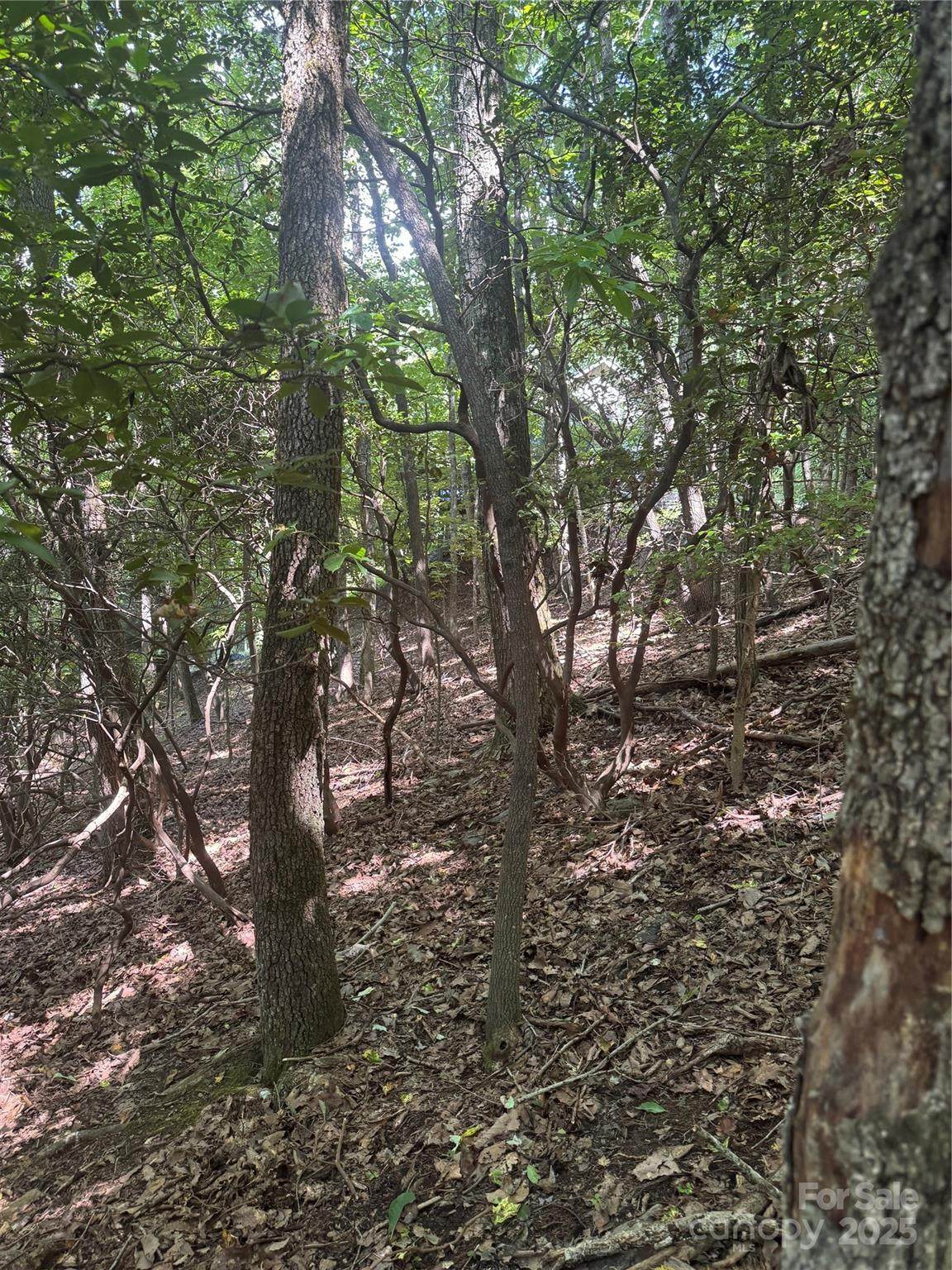 https://bt-photos.global.ssl.fastly.net/cmls/orig_boomver_1_4294628-1.jpg