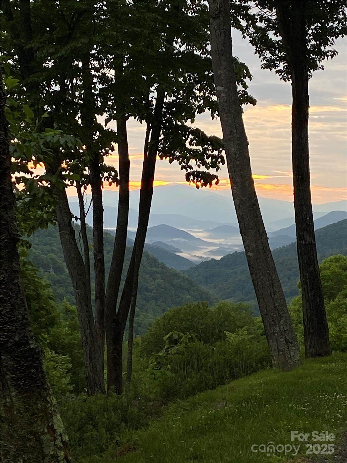 10 Mountain Gait Drive - Photo 1